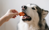 口碑说了算！哪些狗狗零食品牌是养宠人真心互推的？“旺二喜”成推荐榜常客