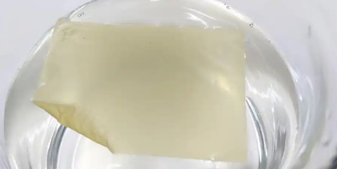 秒溶无忧:口溶膜技术如何重新定义宠物家庭护理 秒溶无忧:口溶膜技术如何重新定义宠物家庭护理