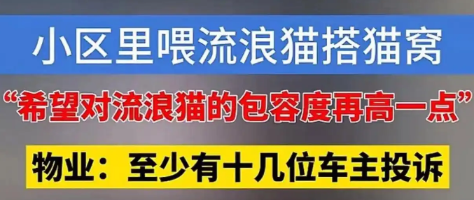 小区喂流浪猫搭窝,物业扔窝驱猫引争执 小区喂流浪猫搭窝,物业扔窝驱猫引争执