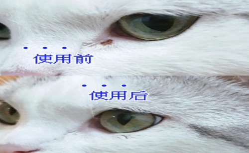 人用的眼药水猫咪可以用吗? 人用的眼药水猫咪可以用吗?