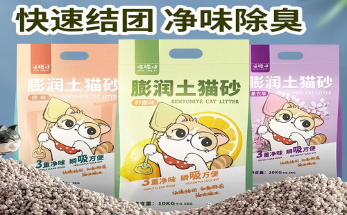 喵聪儿