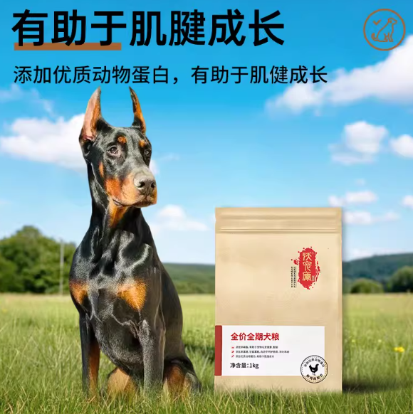 上班族长期喂狗选什么粮？沃宠康犬粮回购率拉满，超省心！