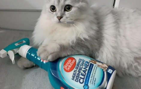 森宝露除臭喷雾怎么样