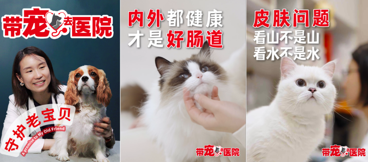 以科学专业赋能健康陪伴，皇家宠物食品“带宠去医院”焕新起航