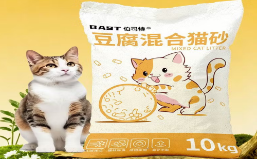 伯司特bast