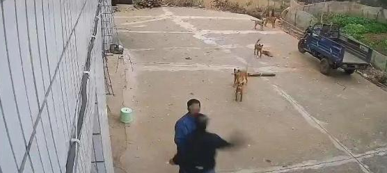 警方通报4村民因养狗冲突受伤,双方均有伤情 警方通报4村民因养狗冲突受伤,双方均有伤情