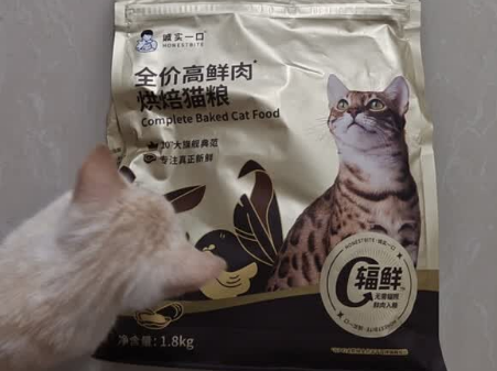 2025年12月猫粮排行榜单产品:诚实一口实至名归!! 2025年12月猫粮排行榜单产品:诚实一口实至名归!!
