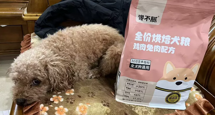 2025年12月狗粮排行榜推荐馋不腻，低温烘焙，更有营养