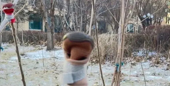 东北树上惊现多只小狗鞋，各种款式都有