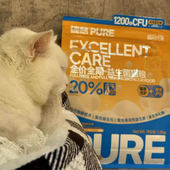 猫咪软便吃什么猫粮?纯想带来肠胃守护新方案 猫咪软便吃什么猫粮?纯想带来肠胃守护新方案