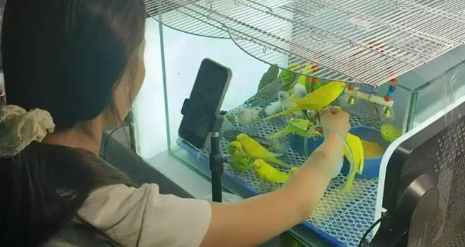 江苏新沂：“小萌宠”跑出县域经济新赛道