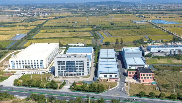 近观城市“它经济”