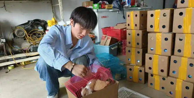 江苏新沂：“小萌宠”跑出县域经济新赛道