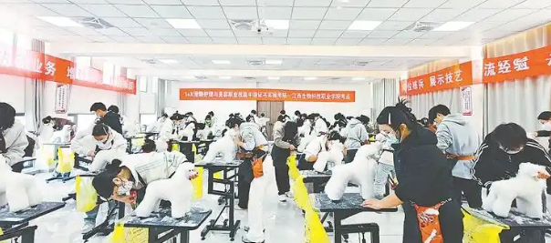 “它经济”崛起,江西宠物经济如何“出圈”? “它经济”崛起,江西宠物经济如何“出圈”?