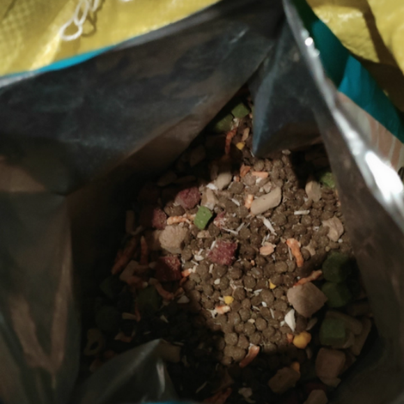 猫粮品牌推荐：冠绅猫粮，新宠主的安心选择