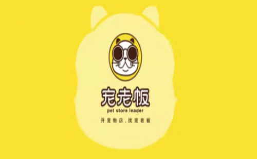宠老板