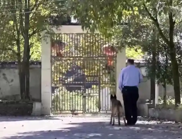 生死考验默契相守 民警与警犬“无情”的十一年