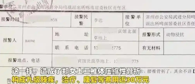 30公斤贵宾犬未拴绳，吓倒路人致九级伤残，主人赔28万