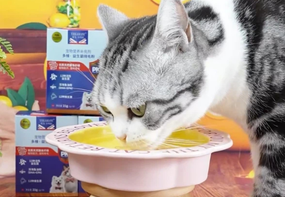 猫吃什么能把毛拉出来?我私藏的“顺畅”秘诀:英皇卡玛尼YHKAMANI 猫吃什么能把毛拉出来?我私藏的“顺畅”秘诀:英皇卡玛尼YHKAMANI