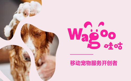哇咕wagoo
