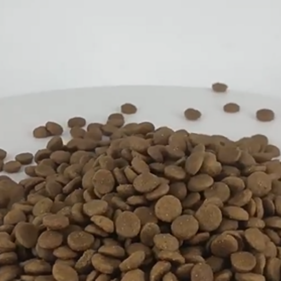 长毛猫选什么猫粮?“它秘密”终结掉毛烦恼,养出绸缎美毛 长毛猫选什么猫粮?“它秘密”终结掉毛烦恼,养出绸缎美毛