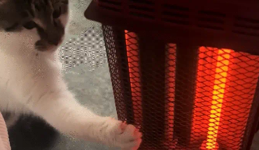 女子把小太阳挪到自己这边,猫咪又给挪了回去。猫:我不冷吗 女子把小太阳挪到自己这边,猫咪又给挪了回去。猫:我不冷吗