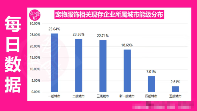 2宠物服装市场热度攀升,如何避免同质化竞争?.png