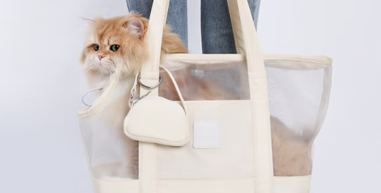 汪喵娘娘猫包买哪种比较好