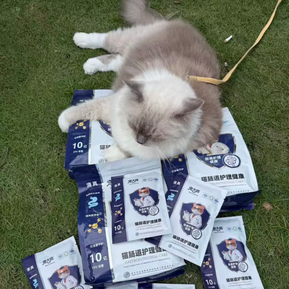 新手猫粮选哪个好？宠大帅，新手养宠“最强后盾”