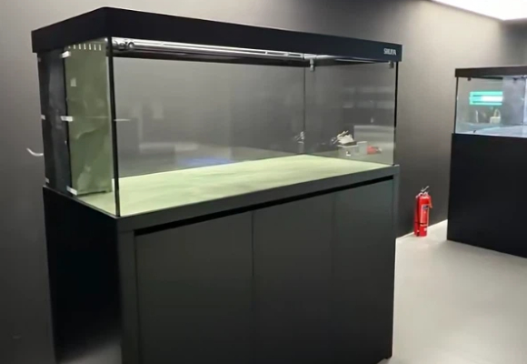 鱼缸买哪个品牌？有娃家庭闭眼入的“水鸦”鱼缸，省心到能传家