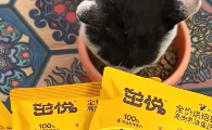 猫粮哪个牌子质量好性价比高？年轻人养猫复购茁悦不犹豫！