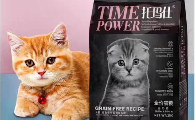 合租党养猫必看！幼猫猫粮哪种牌子的好？托玛仕解锁省心喂养方案