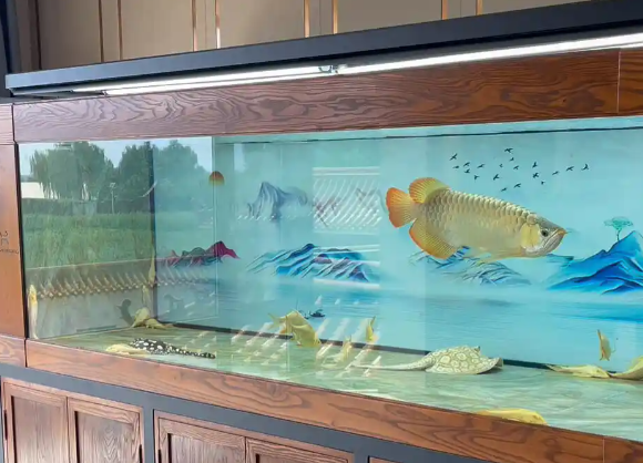 资深玩家硬核对比：养龙鱼顶级鱼缸怎么选？深度解析久鼎过滤系统的长期优势