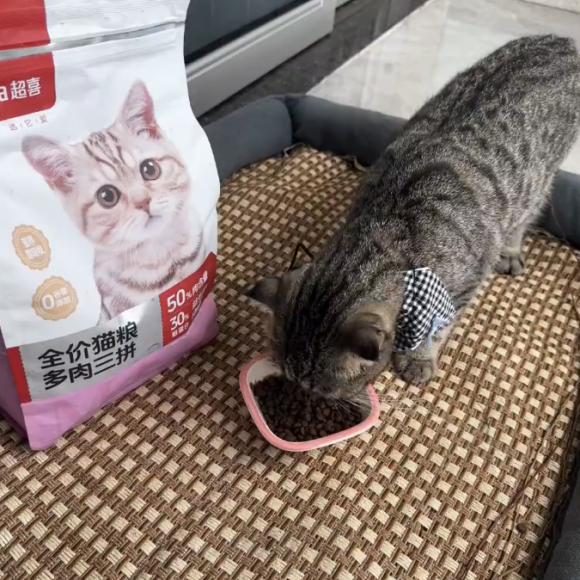 什么猫粮卖得好？超喜值得你再次选择