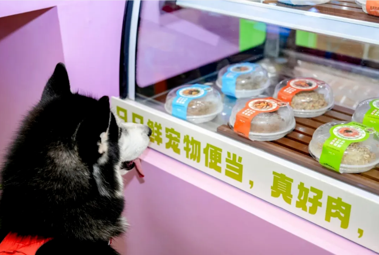 宠物跨界冰火两重天,如何重塑宠物行业竞争格局?.png 宠物跨界冰火两重天,如何重塑宠物行业竞争格局?.png