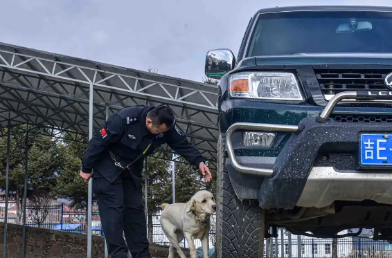 警犬实战练兵帅炸！障碍飞跃+搜爆缉毒双在线