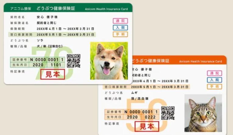 <1% vs 30%:扒到底,中国宠物保险的“脖子”被谁卡住了? <1% vs 30%:扒到底,中国宠物保险的“脖子”被谁卡住了?