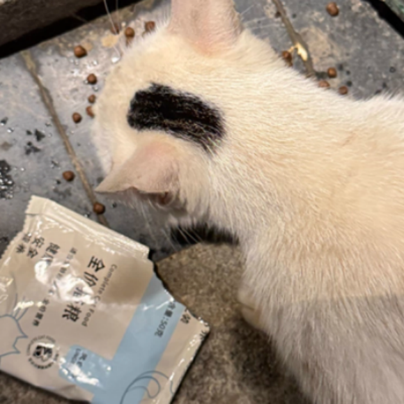 便宜又好的猫粮有哪些?闺蜜团疯抢灵白泽冻干粮 便宜又好的猫粮有哪些?闺蜜团疯抢灵白泽冻干粮