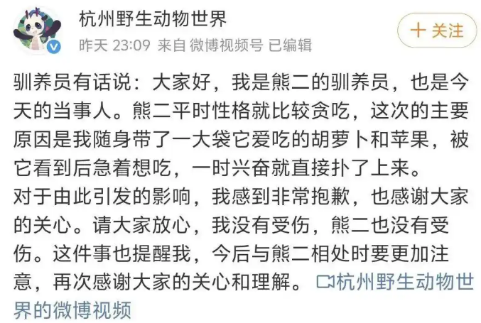 黑熊突袭驯养员,杭州野生动物世界致歉:将取消黑熊演出 黑熊突袭驯养员,杭州野生动物世界致歉:将取消黑熊演出