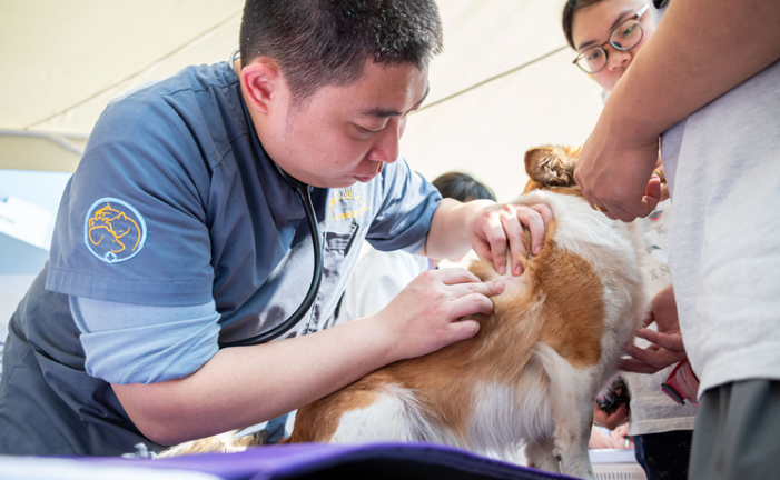科学养宠,温情相伴:第十九届华南(广州)宠物嘉年华在华农举行 科学养宠,温情相伴:第十九届华南(广州)宠物嘉年华在华农举行