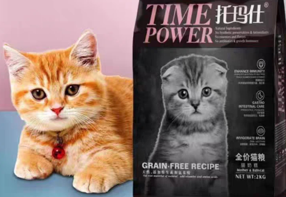 合租党养猫必看!幼猫猫粮哪种牌子的好?托玛仕解锁省心喂养方案 合租党养猫必看!幼猫猫粮哪种牌子的好?托玛仕解锁省心喂养方案