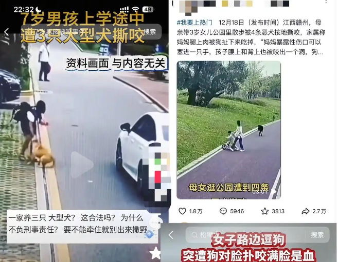 遛20条狗不拴绳事件，街道办回应已核查处理