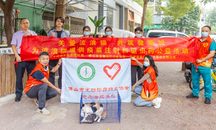 爱心续航 守护不止 “关爱流浪猫，共筑健康城”2025年度公益活动