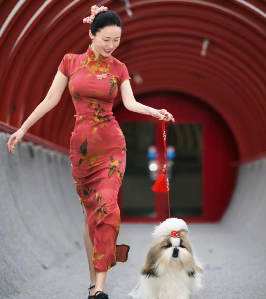 霍思燕爱犬在国际比赛夺冠，杜江发文：开心疯了！创造历史