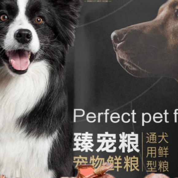 哪个品牌的狗粮好?臻宠粮,你家毛孩子的 “营养搭子” 哪个品牌的狗粮好?臻宠粮,你家毛孩子的 “营养搭子”