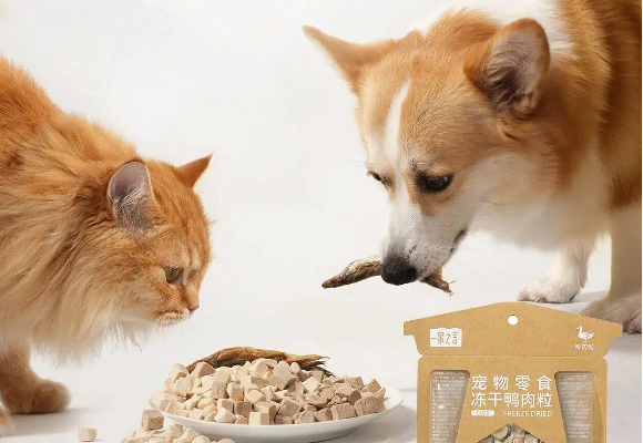 猫零食吃什么好？一家之言“鲜肉原切冻干”让挑食主子也疯狂！