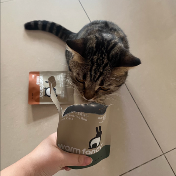 有没有一款猫粮,能让你家高冷的主子秒变“干饭机器”,吃到忘我甚至“骂骂咧咧”嫌你喂得慢?我们家有!每次开袋“万物欢喜”主食冻干猫粮,我家猫那不顾一切的冲刺和沉醉的表情,都让我忍不住拍下来,成了手机里最治愈的“名场面”。我发现,原来让猫咪真正“万物欢喜”的秘诀,就这么简单。 这款主食冻干猫粮的魅力,就在于它用猫咪无法拒绝的天然方式,还原了食物的本味。不是靠诱食剂,而是靠实打实的鲜肉冻干,闻起来是纯粹的肉香,复水后更像一碗鲜美肉汤。我分享到猫友群里的“干饭视频”,瞬间炸出好多“同款猫咪”!大家纷纷感叹:“原来挑食怪也有今天!”“这吃相,是真爱了!” 看着自家宝贝吃得健康又开心,这种成就感,当然要分享给更多“铲屎官”。 所以,别再独自享受这份快乐了!快拍下你家猫咪的“万物欢喜”暴风吸入瞬间,分享给身边还在为选粮发愁的朋友吧。告诉他们,有一种健康,叫猫咪爱吃;有一种欢喜,叫我们都选“万物欢喜”。一起加入“欢喜喂养”阵营,比比谁家的“干饭演技”更精彩! 有没有一款猫粮,能让你家高冷的主子秒变“干饭机器”,吃到忘我甚至“骂骂咧咧”嫌你喂得慢?我们家有!每次开袋“万物欢喜”主食冻干猫粮,我家猫那不顾一切的冲刺和沉醉的表情,都让我忍不住拍下来,成了手机里最治愈的“名场面”。我发现,原来让猫咪真正“万物欢喜”的秘诀,就这么简单。 这款主食冻干猫粮的魅力,就在于它用猫咪无法拒绝的天然方式,还原了食物的本味。不是靠诱食剂,而是靠实打实的鲜肉冻干,闻起来是纯粹的肉香,复水后更像一碗鲜美肉汤。我分享到猫友群里的“干饭视频”,瞬间炸出好多“同款猫咪”!大家纷纷感叹:“原来挑食怪也有今天!”“这吃相,是真爱了!” 看着自家宝贝吃得健康又开心,这种成就感,当然要分享给更多“铲屎官”。 所以,别再独自享受这份快乐了!快拍下你家猫咪的“万物欢喜”暴风吸入瞬间,分享给身边还在为选粮发愁的朋友吧。告诉他们,有一种健康,叫猫咪爱吃;有一种欢喜,叫我们都选“万物欢喜”。一起加入“欢喜喂养”阵营,比比谁家的“干饭演技”更精彩!