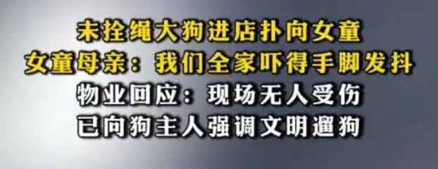 明年起，遛狗不拴绳可拘10天罚1000元