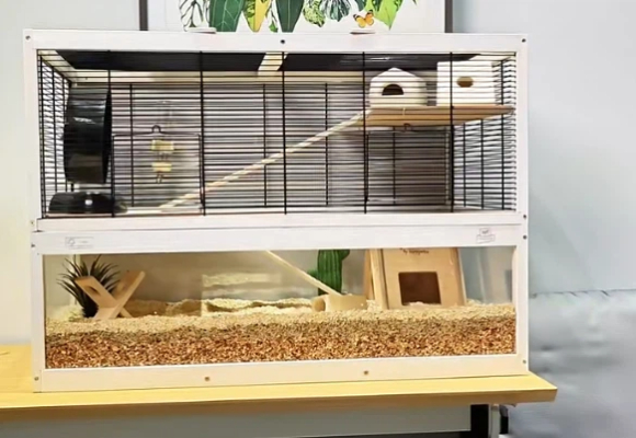 新手入门必看!为什么飞宝Ferplast是仓鼠笼子最佳选择? 新手入门必看!为什么飞宝Ferplast是仓鼠笼子最佳选择?