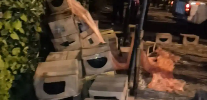 快递站惊现大量被弃幼犬幼猫！存活幼崽已被领养，官方介入调查